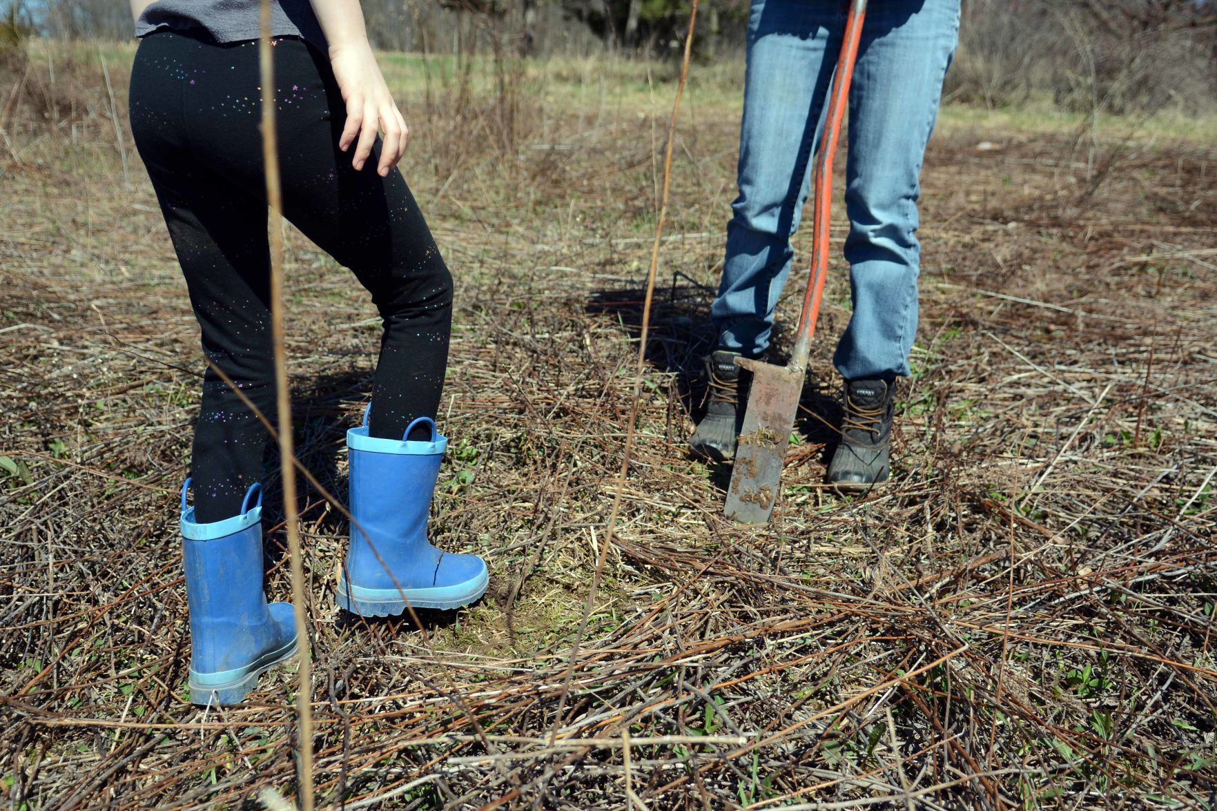 Earth Day tree planting in Baraboo Hills, April 20